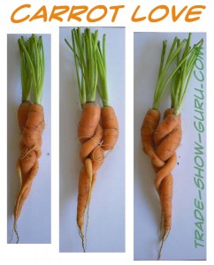 carrot love art